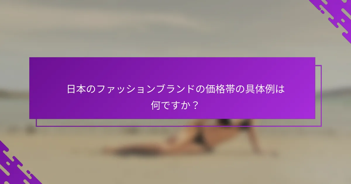 日本のファッションブランドの価格帯の具体例は何ですか？